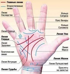 Линия жизни на руке и ее значение в хиромантии Изображение 2