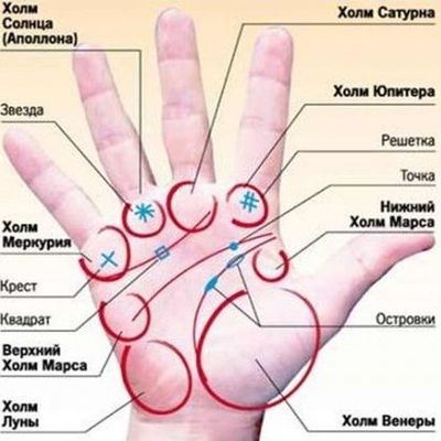 Начинающему хироманту: читаем рисунок на ладони