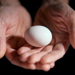 Иллюстрация 1