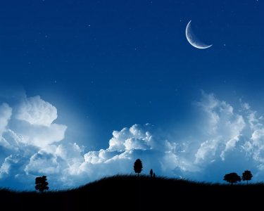 Иллюстрация 1