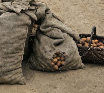 К чему снится мешок картошки: толкование по соннику Изображение 3