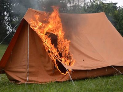 Иллюстрация 8