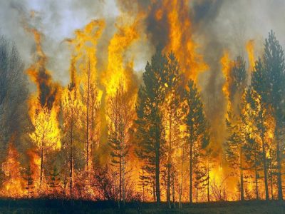 Изображение 9