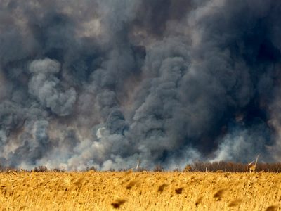 Иллюстрация 11