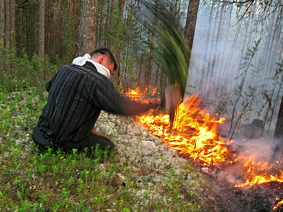 Изображение 12