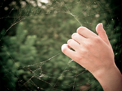 К чему снятся пауки большие и маленькие Картинка 3