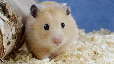 Иллюстрация 2