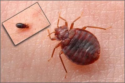 Иллюстрация 2