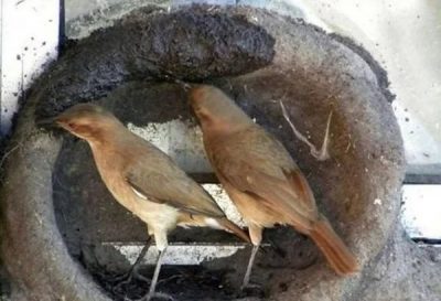 Иллюстрация 5