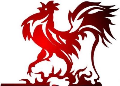 Водолей, рожденный в год Петуха: гороскоп для мужчин и женщин Изображение 1